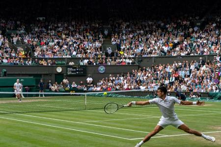 Wimbledon: Djokovic im Finale gegen Berrettini Wimbledon: Djokovic im Finale gegen Berrettini