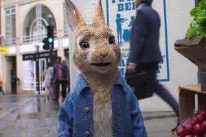 Peter Hase meldet sich für sein zweites Kinoabenteuer zurück.