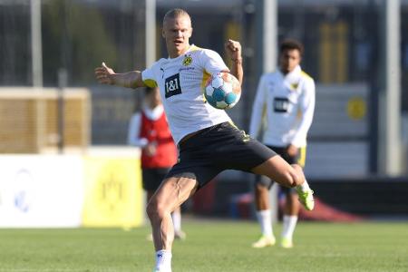 Norwegen nominiert Haaland - Schweden mit Ibrahimovic Norwegen nominiert Haaland - Schweden mit Ibrahimovic