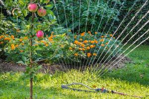 So können Sprachassistenten auch im Garten helfen