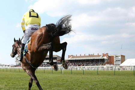 Galopp: Alpinista gewinnt Preis von Europa Galopp: Alpinista gewinnt Preis von Europa