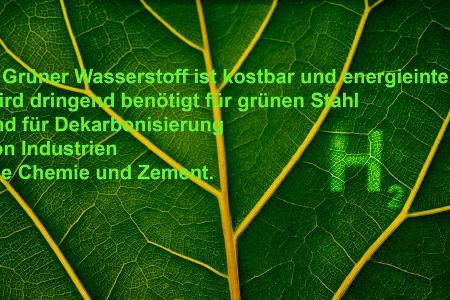 10 Thesen Koalitionsverhandlungen Herbert Diess