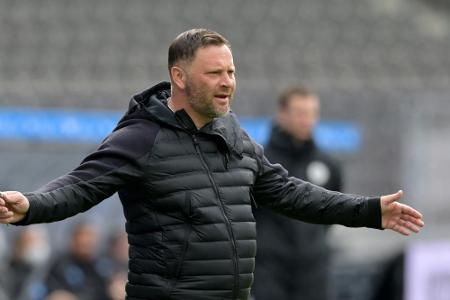 Kämpferischer Dardai nach Hertha-Quarantäne: Kämpferischer Dardai nach Hertha-Quarantäne: