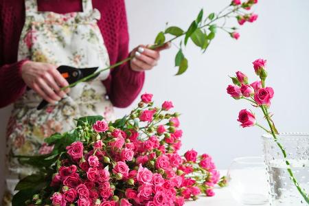 Schnittblumen halten oft nur wenige Tage. Schnittblumen halten oft nur wenige Tage.