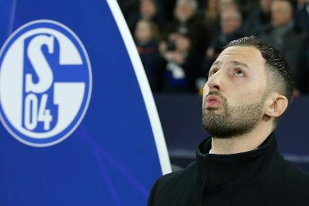 Tedesco warnt Schalke vor der zweiten Liga: Tedesco warnt Schalke vor der zweiten Liga: