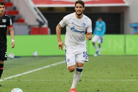 Schalker Paciencia hat noch ein bisschen Hoffnung Schalker Paciencia hat noch ein bisschen Hoffnung