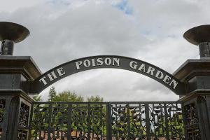 "Poison Garden": Dieser Garten ist zum Sterben schön