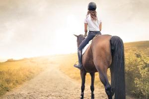 Ferien auf dem Bauernhof: Ein Spaß für Groß und Klein