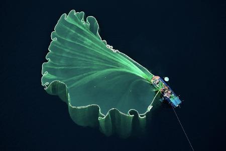 Fishing Net Trung Pham.jpg