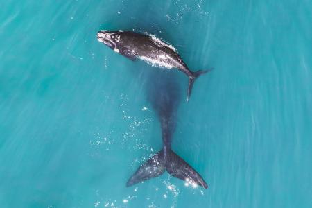 Mother and Baby by LukeMaximoBell.jpg