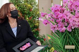 Orchidee in Singapur nach Kamala Harris benannt