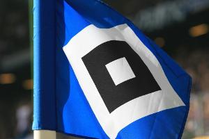 HSV holt schwedischen Torhüter Johansson