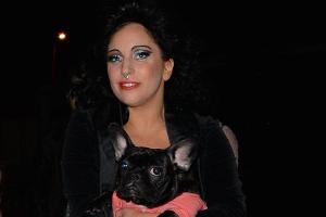 Lady Gagas angeschossener Hundesitter ist auf Geldspenden angewiesen