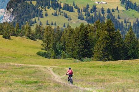 Wer im Sommer zu Fuß oder mit dem Rad unterwegs ist, kann sich auf einige Apps verlassen, die das Outdoor-Leben leichter mac... Wer im Sommer zu Fuß oder mit dem Rad unterwegs ist, kann sich auf einige Apps verlassen, die das Outdoor-Leben leichter mac...