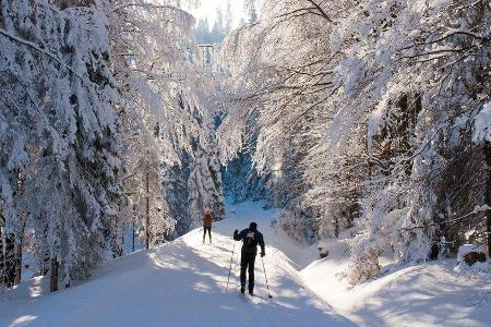 Langlauf gehört zu den anstrengendsten Wintersportarten. Langlauf gehört zu den anstrengendsten Wintersportarten.