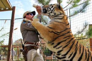 Auch in "Tiger King 2" geht es eher um Menschen als um Großkatzen...