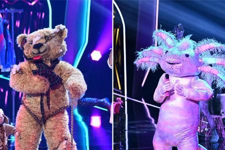 Wurden am Samstag demaskiert: der Teddy und das Axolotl. Wurden am Samstag demaskiert: der Teddy und das Axolotl.
