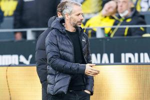 Rose lässt sich nicht auf Rechenspiele ein