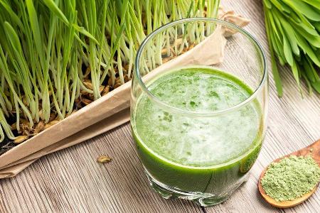 Zwei gehäufte Teelöffel des grünen Pulvers und Wasser ergeben einen Gerstengras-Drink. Zwei gehäufte Teelöffel des grünen Pulvers und Wasser ergeben einen Gerstengras-Drink.
