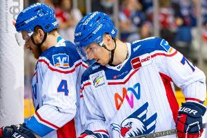 Adler Mannheim: Holzer und Rendulic müssen operiert werden