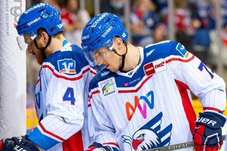 Adler Mannheim: Holzer und Rendulic müssen operiert werden Adler Mannheim: Holzer und Rendulic müssen operiert werden