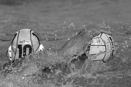 Wasserball: Trauer um früheren Rekordnationalspieler Haverkamp Wasserball: Trauer um früheren Rekordnationalspieler Haverkamp