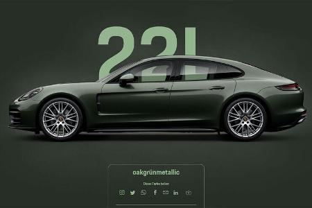 Porsche Panamera 22L oakgrünmetallic