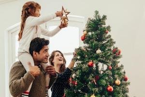 Sicherer Stand und mehr: Die besten Tipps für den Weihnachtsbaum