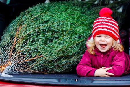 Freude pur beim Weihnachtsbaumkauf - wenn man ein paar Tipps beachtet... Freude pur beim Weihnachtsbaumkauf - wenn man ein paar Tipps beachtet...