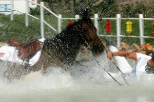 Das SID-Kalenderblatt am 25. Dezember: Die Stimme des Reitsports verstummt