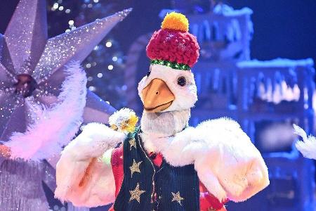 An der Weihnachtsgans war auch bei An der Weihnachtsgans war auch bei