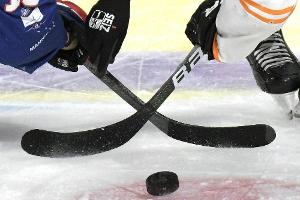 DEL: München ringt die Wild Wings nieder