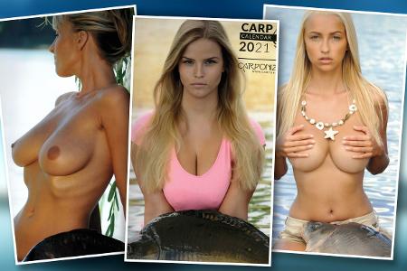 Carponizer-Collage-Logout.jpg Carponizer-Collage-Logout.jpg