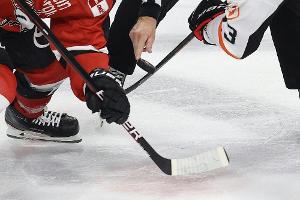 DEL: Nürnberg stoppt Wolfsburger Siegesserie