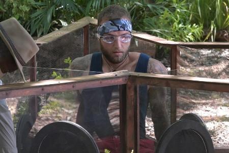 Dschungelcamp 2022: Diese Prüfungen stehen im Finale an Dschungelcamp 2022: Diese Prüfungen stehen im Finale an