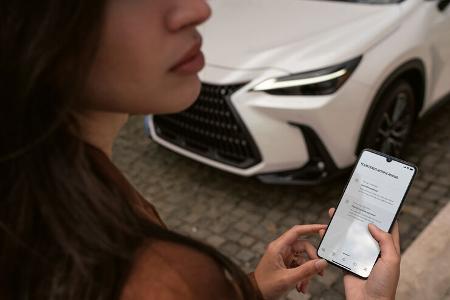 Lexus NX Multimedia