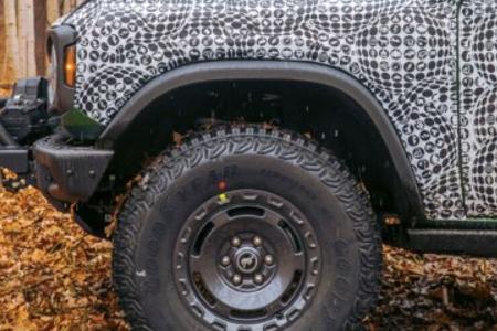Ford Bronco Everglades