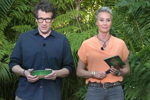 Dschungelcamp: "Das Nachspiel" eskaliert