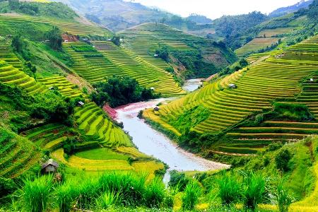 Quarantäne-Pflicht fällt: Fünf Gründe, um jetzt nach Vietnam zu reisen