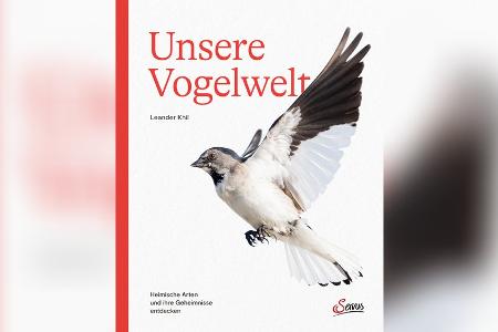 Vögel beobachten: Die besten Tipps und Tricks für Einsteiger