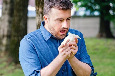 Pollen sind zurück: Die besten Hausmittel gegen den Heuschnupfen Pollen sind zurück: Die besten Hausmittel gegen den Heuschnupfen