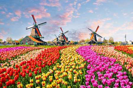 World Happiness Report In diesen Ländern ist das Glück am größten Niederlande