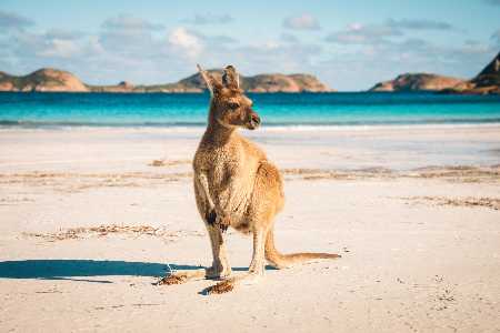 World Happiness Report In diesen Ländern ist das Glück am größten Australien