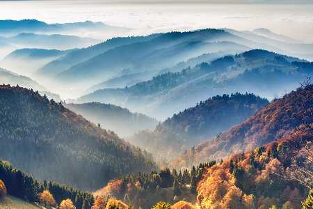 Ranking In diesen Bundesländern sind Gäste besonders willkommen Schwarzwald