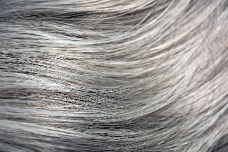 Spitzenschneiden, Waschfrequenz, graue Haare Die größten Irrtümer über Haare graue Haare über Nacht