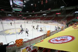 Eishockey: Hansson wird neuer Trainer der DEG