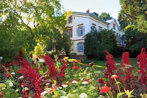 Weinheim strahlt im Frühling