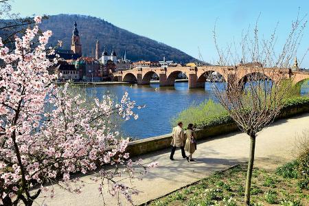 Neckarpromenade in Heidelberg.