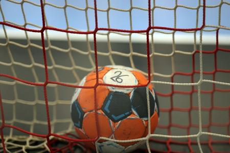 Bietigheimer Handballerinnen vorzeitig Meister Bietigheimer Handballerinnen vorzeitig Meister