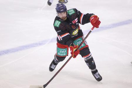 DEL: Eisbären verpflichten Nationalspieler Nowak DEL: Eisbären verpflichten Nationalspieler Nowak